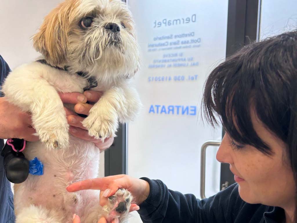 allergologia veterinaria