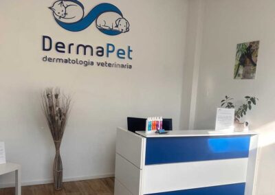 Dermatologo gatto Brescia