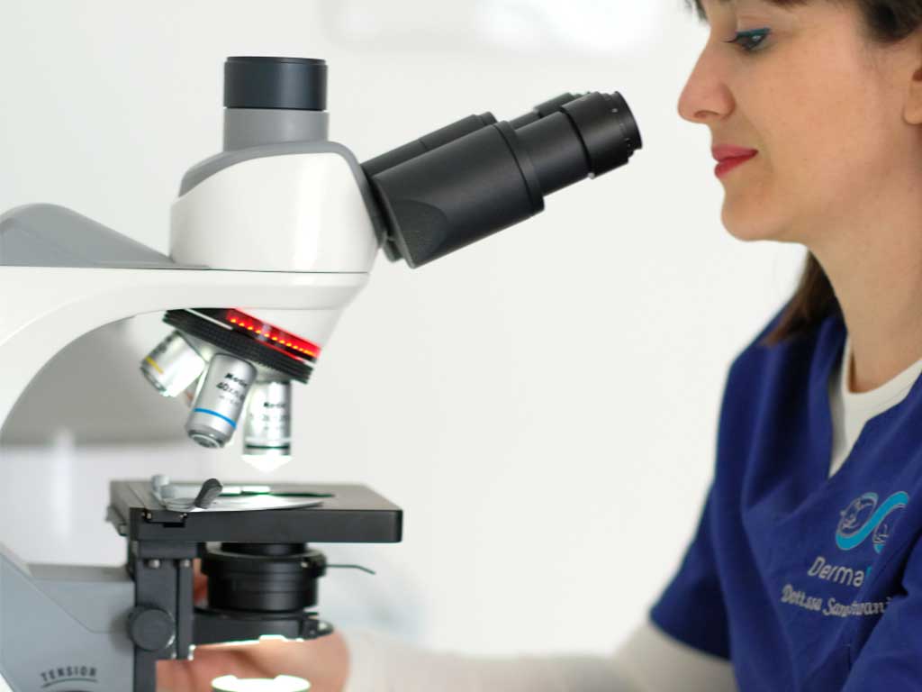 Visita dermatologica veterinaria Milano Brescia