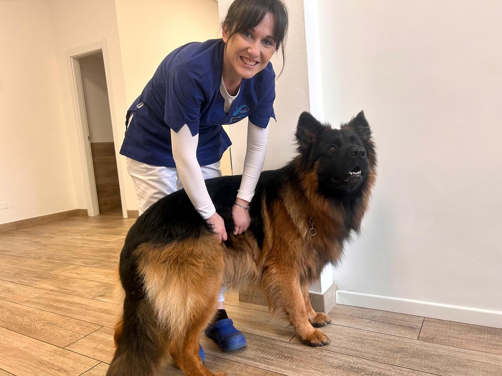 veterinario dermatologico milano brescia